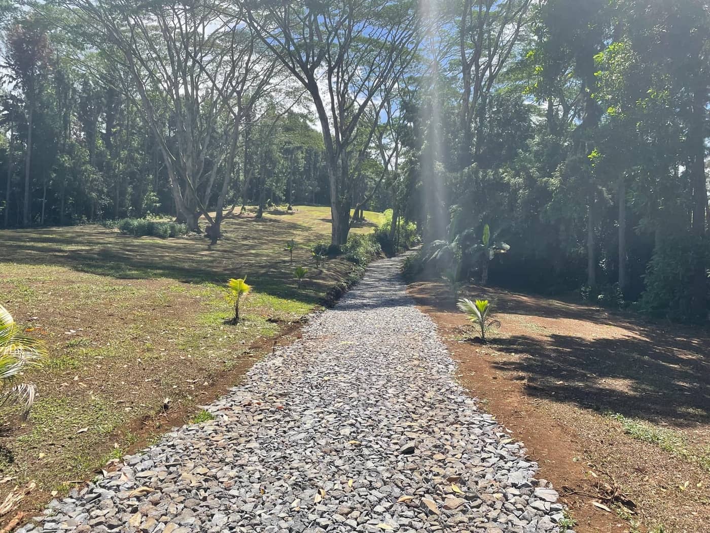Chantier de terrassement